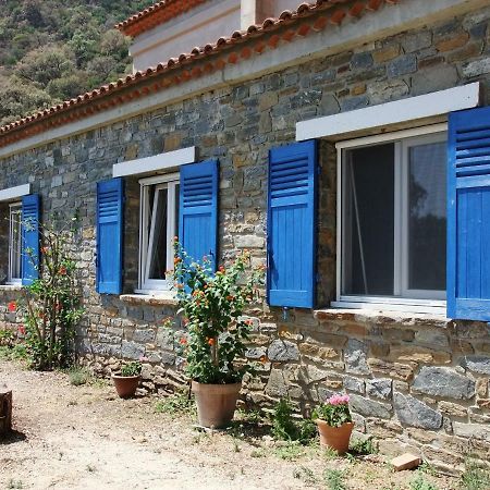 Villa Lou Pastourel à Le Lavandou Extérieur photo